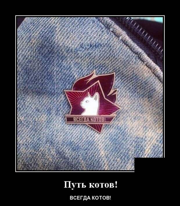 Демотиваторы (30 фото)