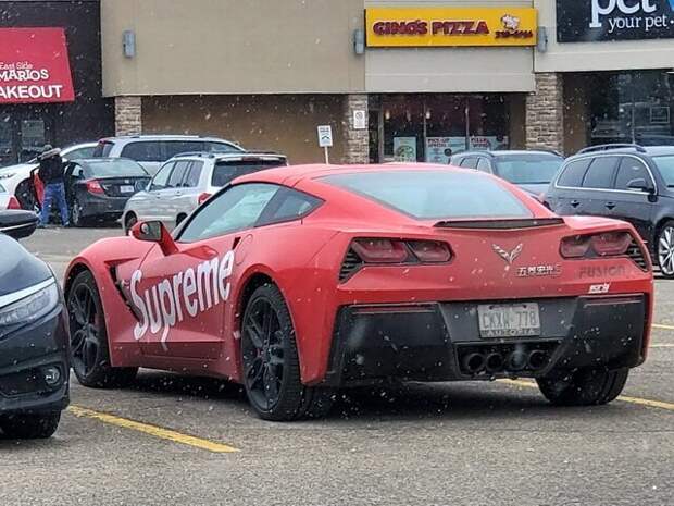 Автовсячина