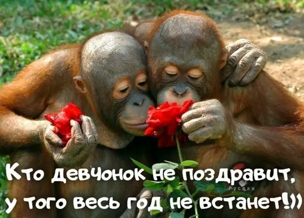 Солидная начальница - молоденькой секретарше: - Машенька, ты надела слишком обтягивающее платье...
