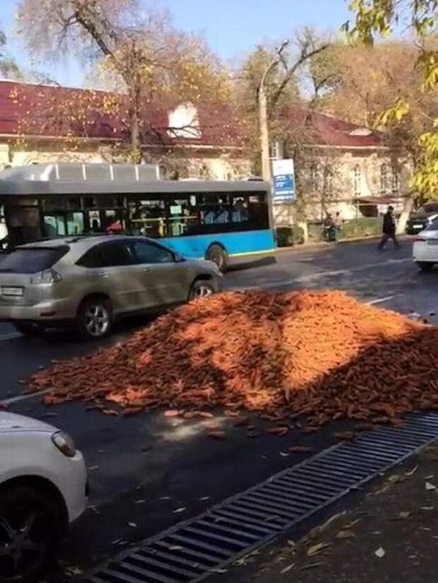 Автовсячина Автовсячина, авто, автомобиль, автоприкол, машина, прикол