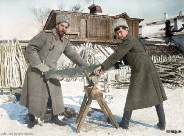 Николай II с сыном Алексеем пилят дрова во дворе своего дома во время ссылки в Тобольск.