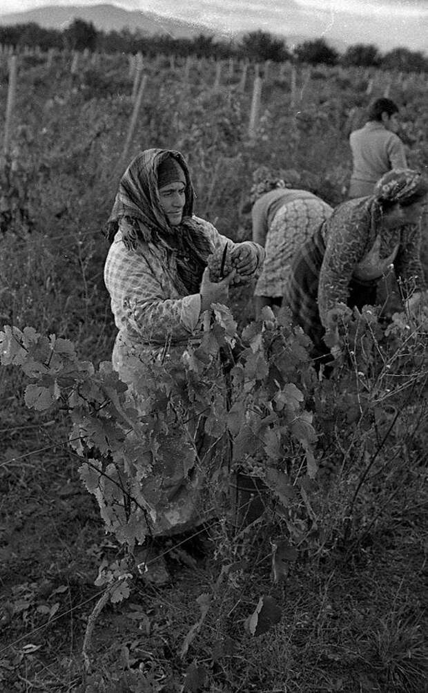 Фотография: Повседневная жизнь в советской Грузии 1976 года в фотографиях шведского фотографа №18 - BigPicture.ru