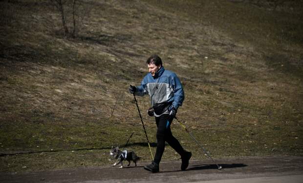 В Москве «обнулился» снег