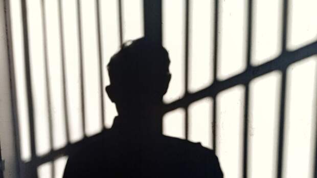 Экс-мэра Владимира Наумова приговорили к восьми годам колонии по делу о взятке