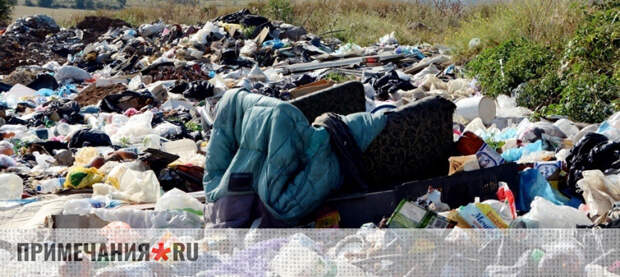 Эксперт рассказал о перспективах ввода раздельного сбора отходов в Севастополе