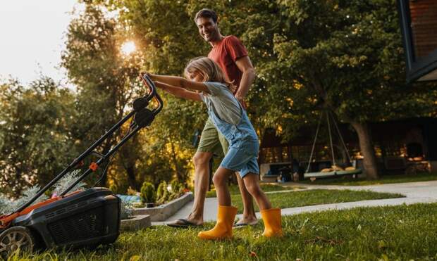 Деревья или газон: какой вариант озеленения полезнее для сердца