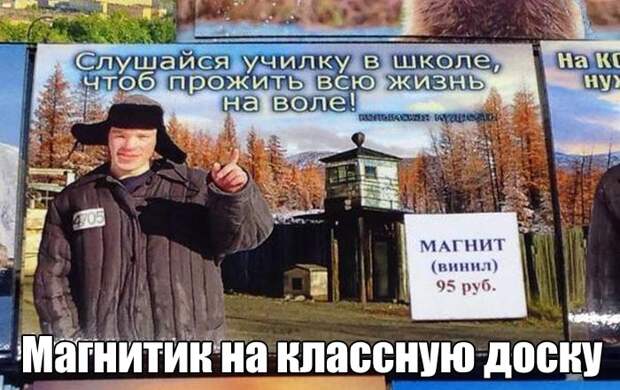 Прикольные картинки. Вечерний выпуск (56 фото)