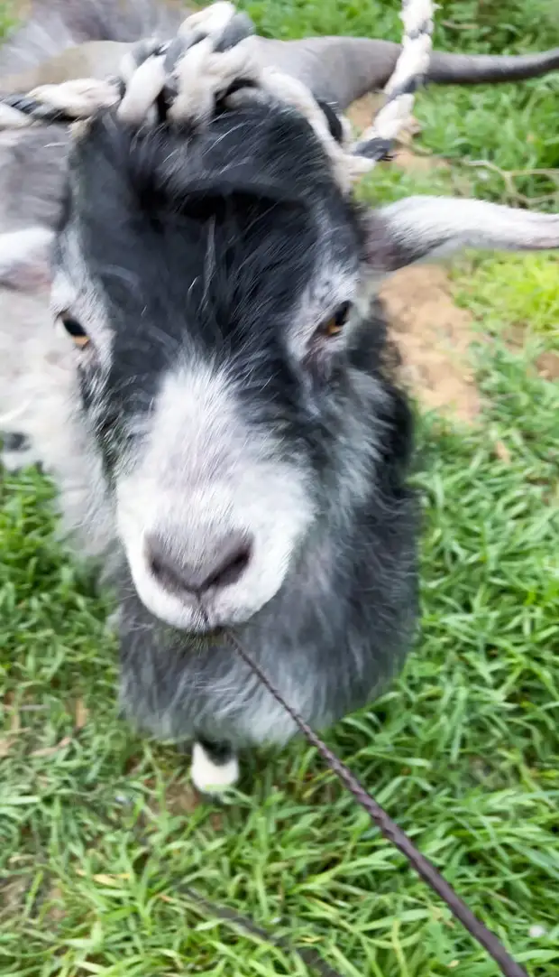 Как мы побывали в русской Сахаре. Бархан Сарыкум, Дагестан