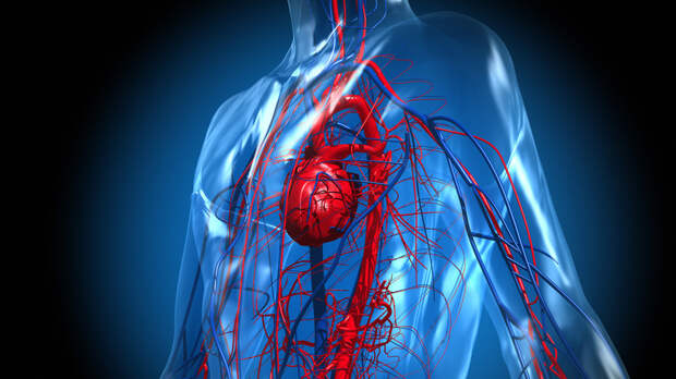 Кардиолог Прокофьев: самолечение при гипертонии недопустимо