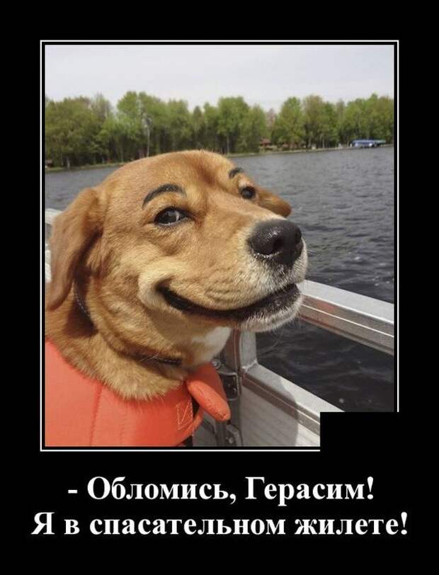Демотиватор про Герасима