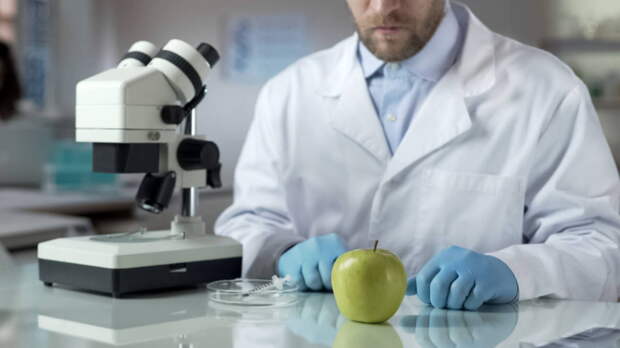 Польза и вред продуктов: яблоки, как выбрать и зачем их есть