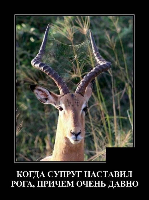 www.vsyako.net