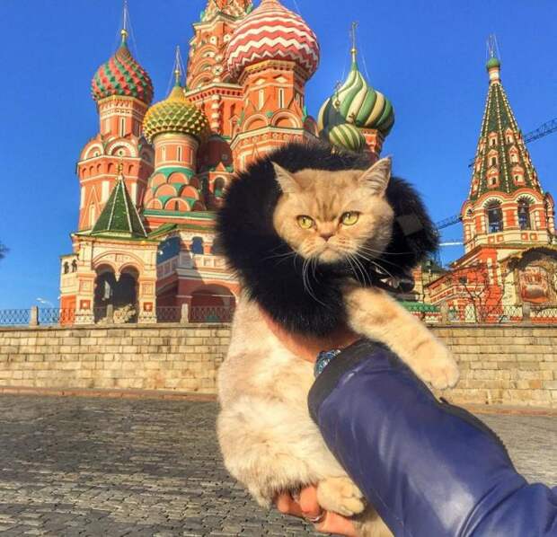 Шикарный вид! На меня, я имею в виду. Шикарный вид! На меня, я имею в виду.