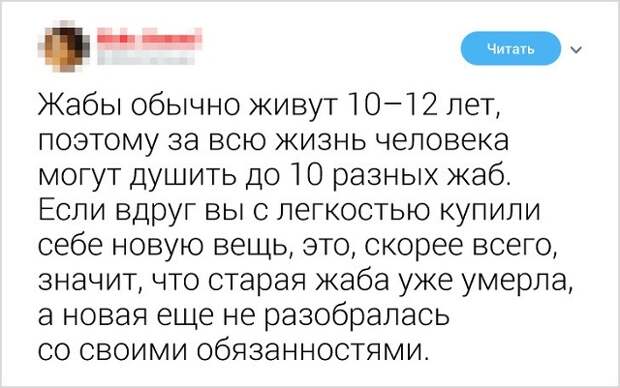 Новая партия забавных твитов с просторов Сети