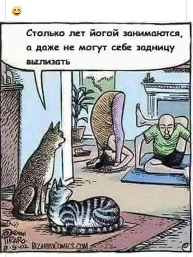 Нет описания фото.
