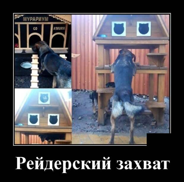 Демотиваторы (30 фото)