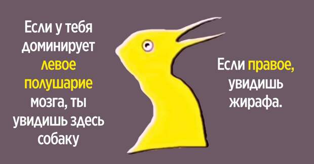 Как определить доминирующее полушарие мозга