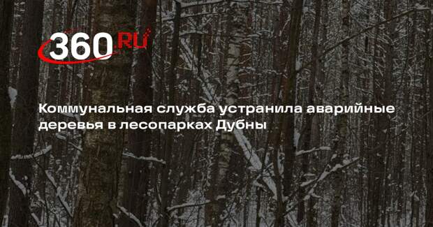 Коммунальная служба устранила аварийные деревья в лесопарках Дубны