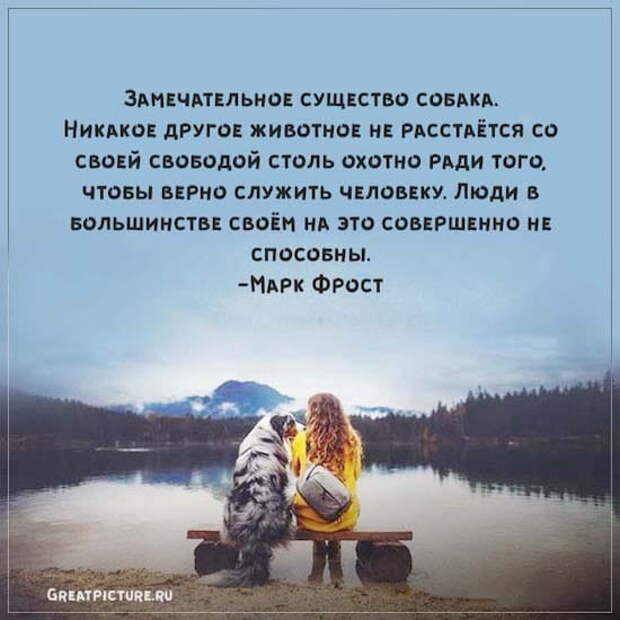 Почему у интровертов такая тесная связь с животными3
