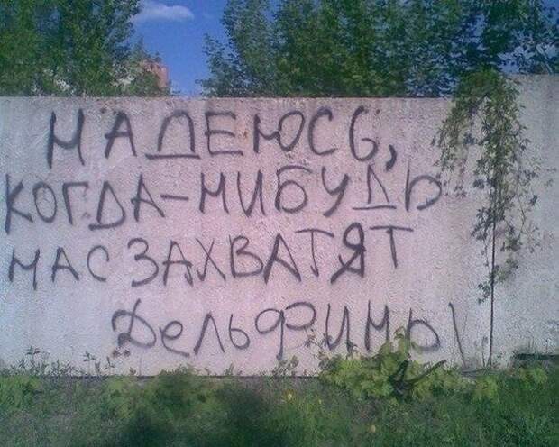 Колкий юмор Колкий юмор