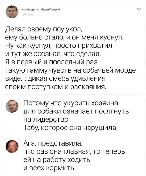 www.vsyako.net