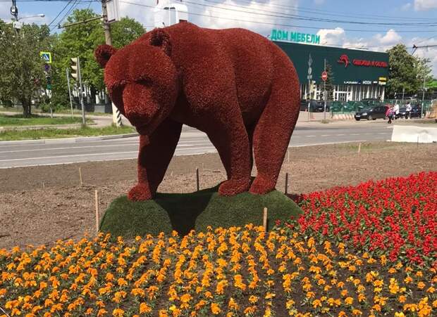 медведь в цветах alt