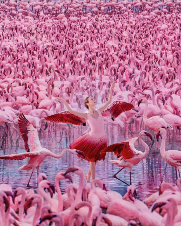 Озеро Фламинго