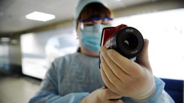 Роспотребнадзор: в России не выявлено завозных случаев заражения вирусом Нипах