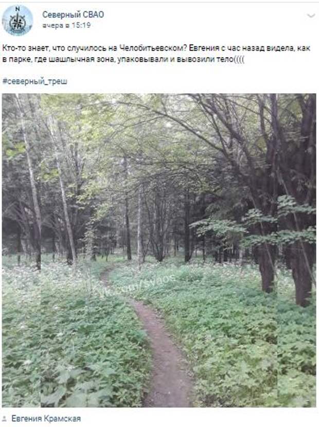 Найденный в кустах на Челобитьевском мужчина умер от передозировки наркотиками