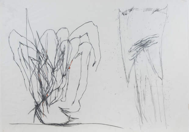 Маша Ша, «Положение», 2013 год