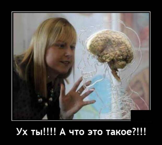 Демотиваторы 24 августа 2021 года