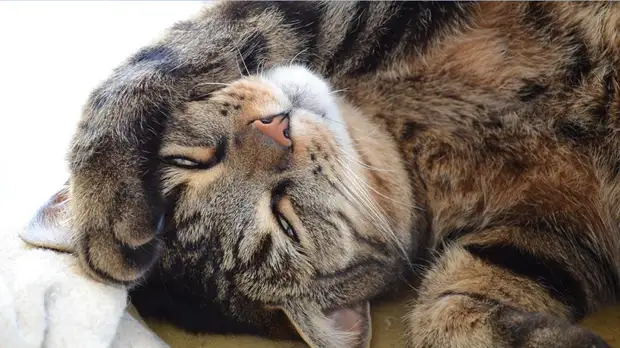 Гороскоп на сегодня: благоприятный период