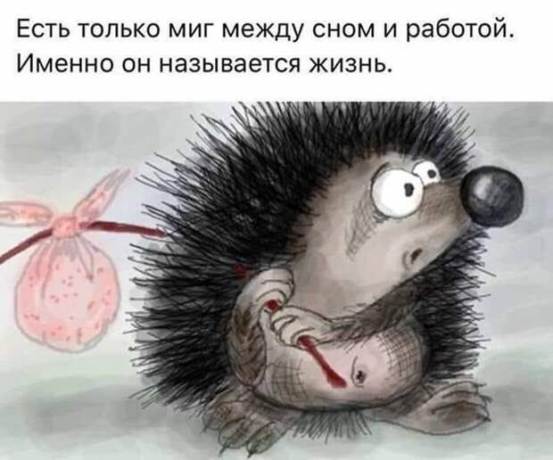 Прикольные картинки с надписями для поднятия настроения Прикольные картинки с надписями для поднятия настроения