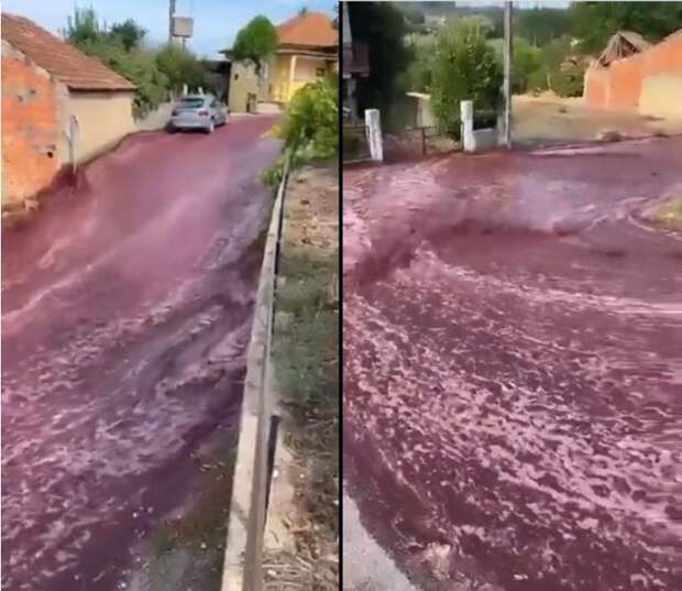 Винная «река» затопила улицы городка в Португалии