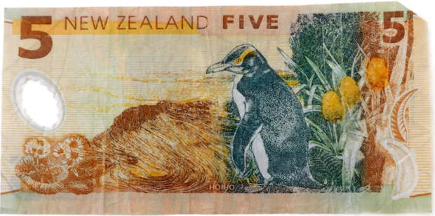Новозеландские пять долларов