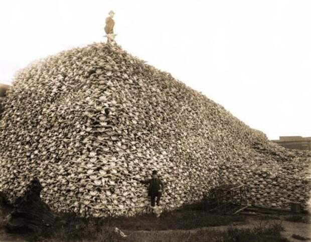 Исторические фотографии, в реальность которых сложно поверить Исторические фотографии, в реальность которых сложно поверить