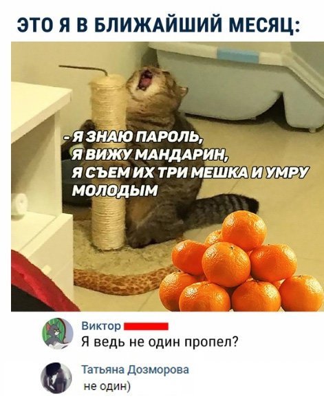 Прикольные и смешные картинки от Димон за 07 декабря 2018 картинки, прикол, юмор