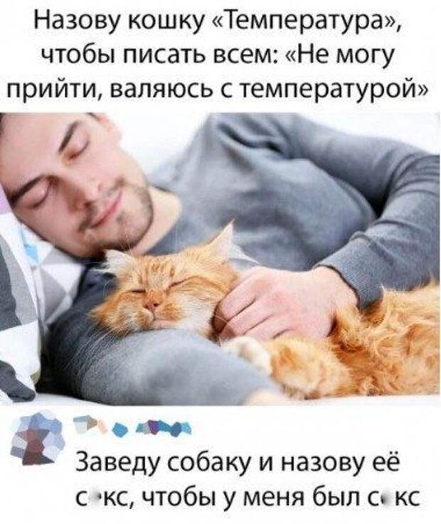 b2ae0e.jpg