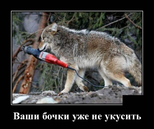 Демотиваторы (30 фото)