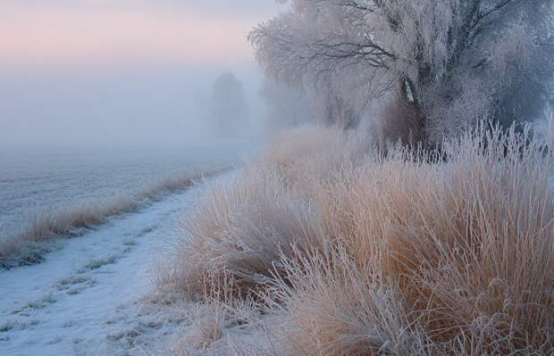 В регионах может повториться агроклиматический сценарий - тепло резко сменется заморозками