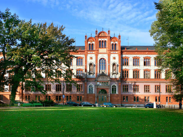 стокский университет
