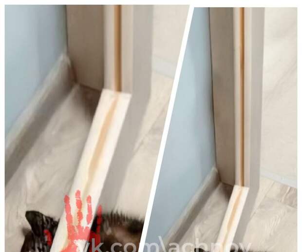 В Челябинске женщине распилили дверь из-за застрявшего в ней котенка