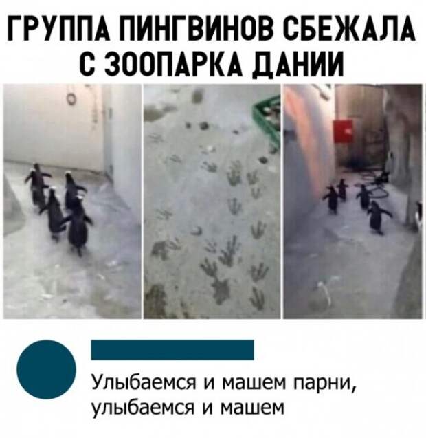 Чуток картинок!