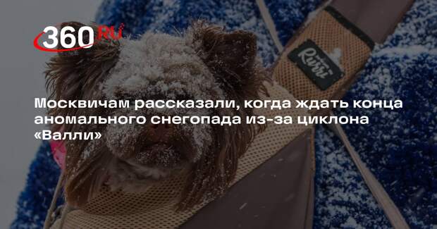 Синоптик Ильин: снегопад в Москве закончится в субботу-воскресенье