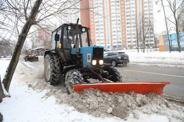 Фото: Новосильцев Артур/Агентство "Москва"