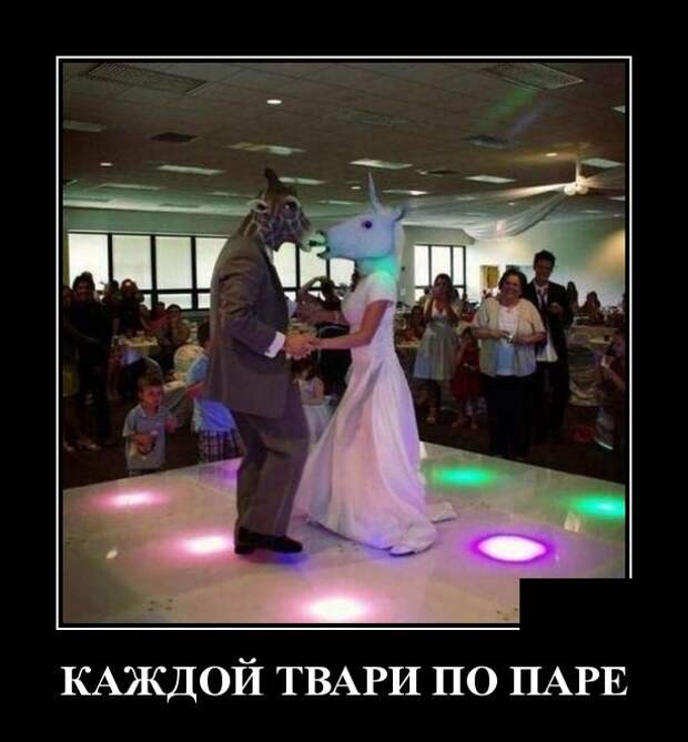 Демотиваторы (30 фото)