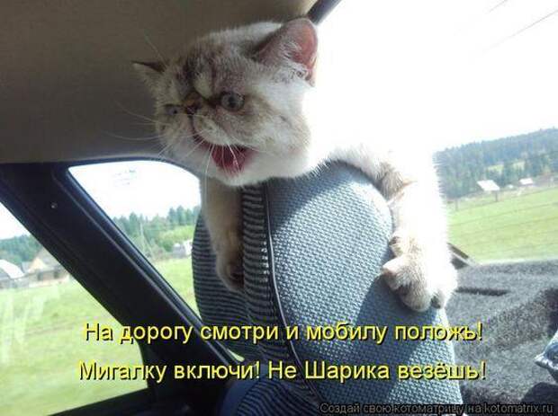 Ржачные до слез свежие картинки с надписями (вторник)
