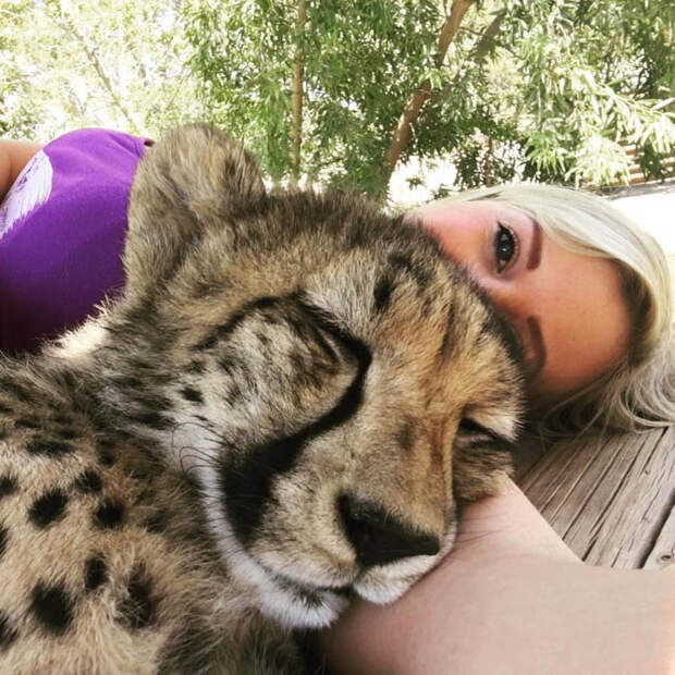 Девушка помогла котёнку гепарда не стать чьим-то ковром! Поступок человека с большой буквы