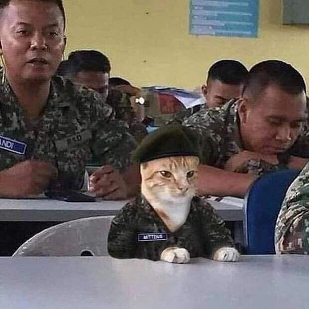 20+ коллег, которые профессионально подкололи друг друга