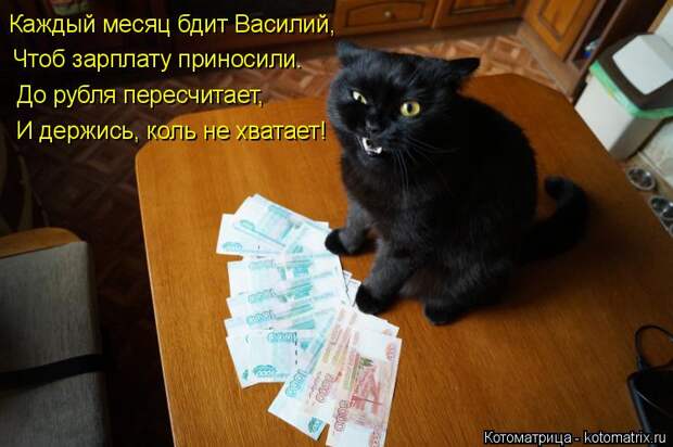 Котоматрица: Каждый месяц бдит Василий, Чтоб зарплату приносили. До рубля пересчитает, И держись, коль не хватает!